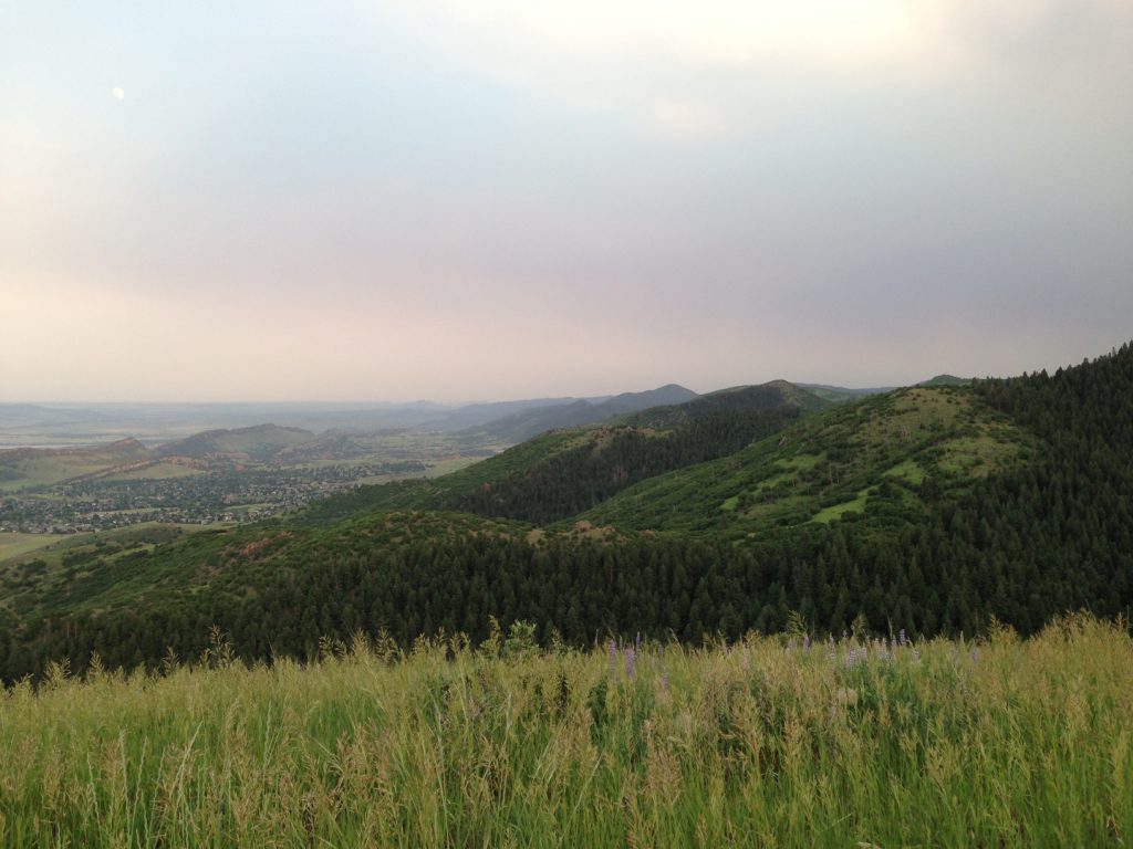 Our History Willow Springs Open Space Owners Association